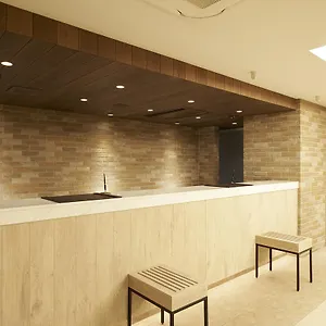 Hotel Sotetsu Fresa Ginza Sanchome, Tokio